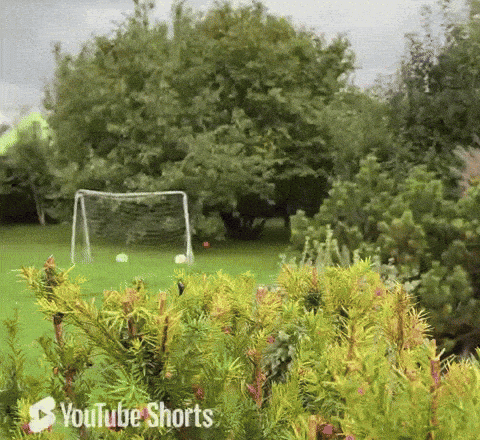 A sneaky burglar popping up from behind the bushes.