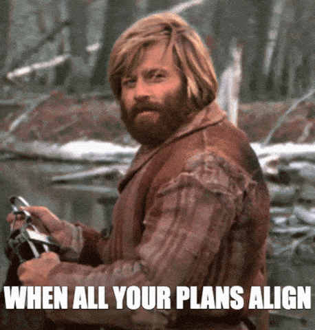 Bearded man outdoors nodding in approval with text  'When all your plans align'.